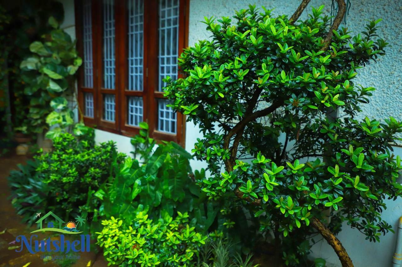 Appartement Nutshell-Airport Retreat By The Sea à Thiruvananthapuram Extérieur photo